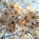 서생포왜성주차장 이미지