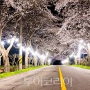 조명여행사 이미지