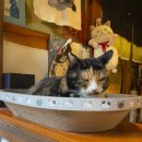 [다이음] 손끝에서 피어나는 나만의 도자기 | 🍂가을따라 걷는 서울 로컬 투어 | 골목따라 마음따라 성북동길 스냅로컬투어 후기