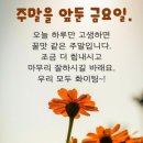 오늘은 1004데이 사랑공간에 오셔서 달콤한 하루 시작해보아요~~~💕💕💕 이미지