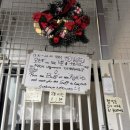 마오캣 | 홍대고양이카페 고양이멀티카페 마오 홍대데이트추천