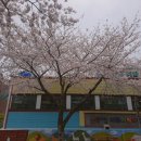 서호동-28 네이버블로그