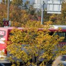 가라뫼공원(소만공원) 이미지