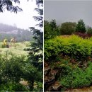 수남농장 이미지