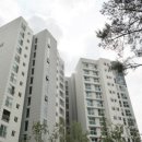 강남-096 이미지