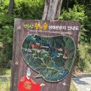 더숲 | 전북 임실 성수산 왕의숲 캠핑장 후기｜신상 자연휴양림 가족캠핑 다녀왔어요