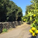 담안농장 이미지