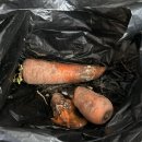 여름철 식재료 변질 고민 끝, 락앤락 스마트킵 프레쉬 플러스 99.9% 항균 후기