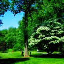 대자연가든 이미지