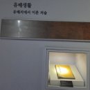 협동조합산수다락 | 강진 다산정약용박물관 관람하고 오다