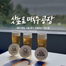 삿포로 맥주공장 투어 예약 방법, 시음 후기, 공항에서 가는 법