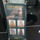 헤어샵공감 이미지