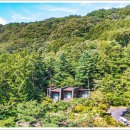 포레스트 리솜 이미지