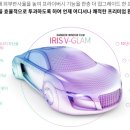 넘버원틴팅 - 동구 한밭대로 1301 | 넘버원틴팅