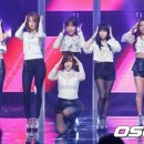 티아라 이미지