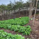 종근농장 이미지