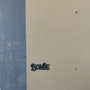 지우빌딩 | [서울/성수]트렌디하고 꼼꼼한 헤어 스타일엔 성수 비온비 (ft. 지우실장님 톤다운 염색후기)