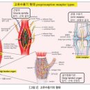 R2B 운동과학센터 네이버블로그