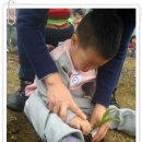 상일농장 이미지