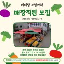 성실야채청과