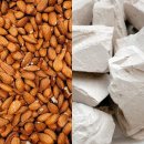 러쉬짐 | 민감성에게는 매운맛? 러쉬 엔젤스 온 베어스킨 솔직 후기