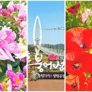 운암면사무소 | 붕어섬 생태공원 임실 옥정호 작약 양귀비 주차장 셔틀버스