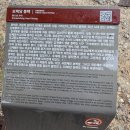 안동김씨 효부각 | 안동 - 툇마루에서 여름을 즐기다 <보백당 종택>