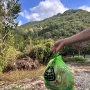 캠프1530 | 청도 오토캠핑장! 캠프1530 B5 사이트 명당