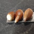창이대로 티스토리