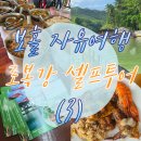 (자)제일택시 | 보홀 로복강 셀프 택시 투어 입장료 및 자리 꿀팁까지 : 보홀 육상투어 셀프 후기