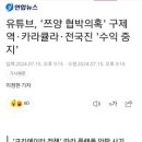 유튜브, '쯔양 협박의혹' 구제역·카라큘라·전국진 '수익 중지' 이미지