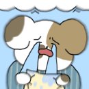 씨장 SSIJANG 이미지