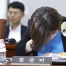 진선미 이미지