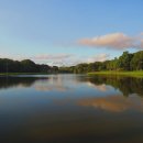 큰별약국 이미지