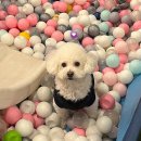 (주)유진랩 | 2026.03