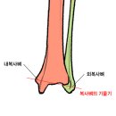 정강학원