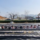 서전주유치원 이미지