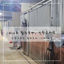 인천 승마장 | 마사회 힐링승마 지원 사업, 서울 근교 승마장, 인천승마장 후기!
