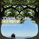 [국도40] 부여군 석목리 | 부여, 공주 당일치기 데이트: 부여사랑나무, 베이커리 밤마을, 북경깐풍기