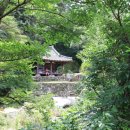 원효정사 이미지