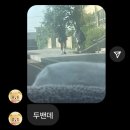 환웅농장 | 공포의 다리꽈배기