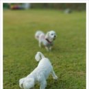 구암동428 이미지