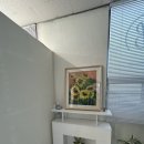 해브즈뷰티