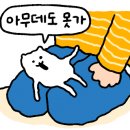 하하호호프렌드 이미지