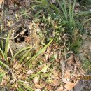 유달산 마애불 이미지