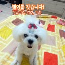 성화약국 이미지