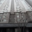 신정로11길 이미지