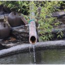 성일농원 이미지