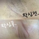 네일아라