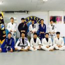 파라에스트라 이미지